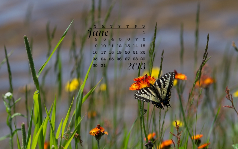 free desktop calendar June 2013 1440x900