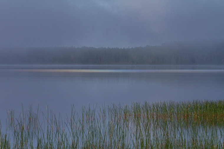 fog generated prism on lake