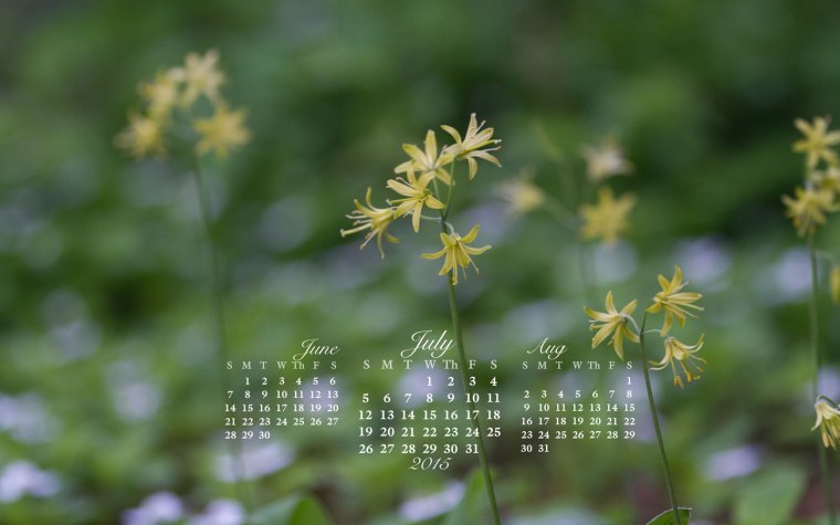 free desktop calendar July 2015_1440x900